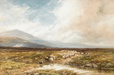 Tavy Cleave, Dartmoor, 1899
